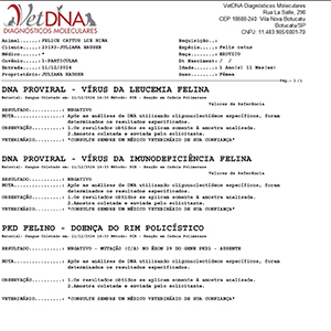 Pedigree da Nina